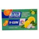 V-GUM Detox 17g Mint Citrus