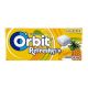 Orbit Refreshers 17,9g Tropical