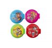 Paw Patrol Bubble Roll 16g