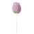 Sweet Rose Hard Lollipop 12g